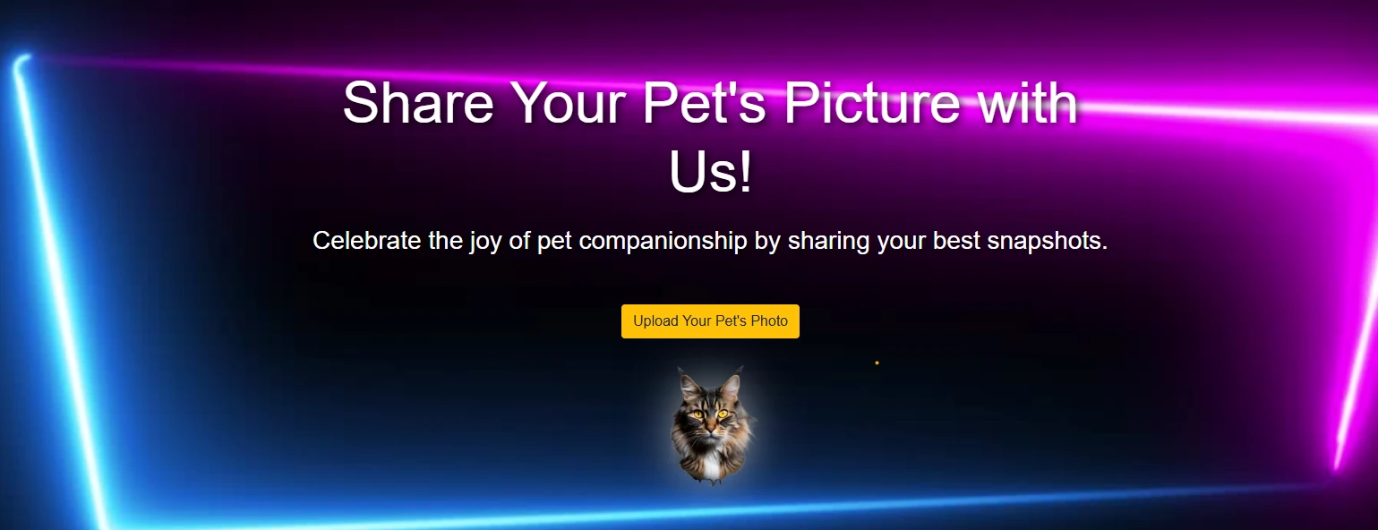 Upload your pet’s photo to the Needy Cat Media community gallery