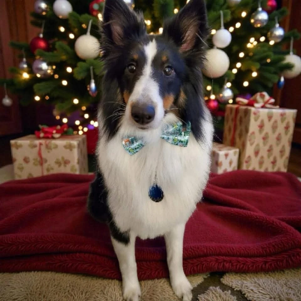 Dog wearing a bow tie sitting in front of a Christmas tree
