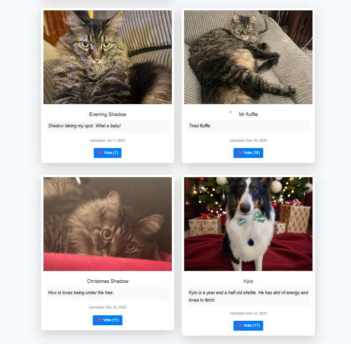 Community pet photo gallery showing multiple pets with names and votes