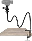 AMADA HOMEFURNISHING 25 Inch Webcam Stand