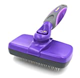 The Grooming Brush