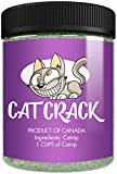 Cat Crack Catnip