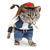 Cowboy Dog Costume