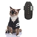 Cat Sweater for Cold Weather