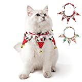 Christmas Collar