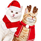Christmas Costume