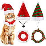 christmas-cat-hats-with-bells