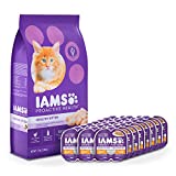 Kitten Dry Cat Food