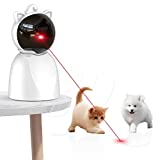 cat-exercise-laser