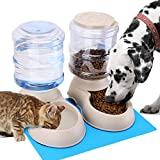 Feeder and Water Dispenser