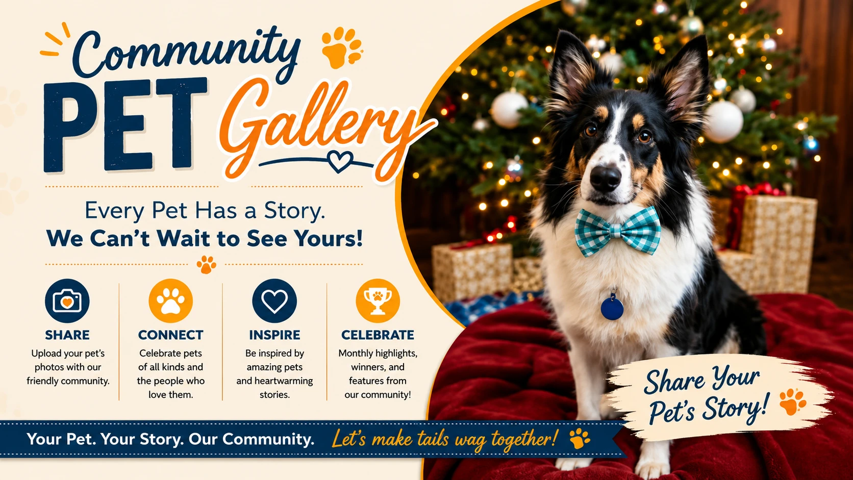 Every Pet Has a Story: Welcome to the Needy Cat Media Community Gallery