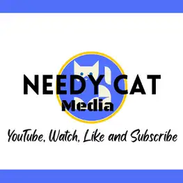 Needy-Cat-Media-YouTube