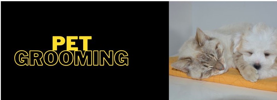 Banner for Grooming