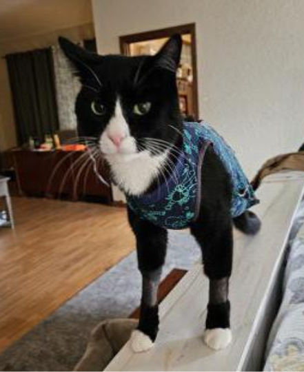 Lil Guy, a.k.a. Tripod