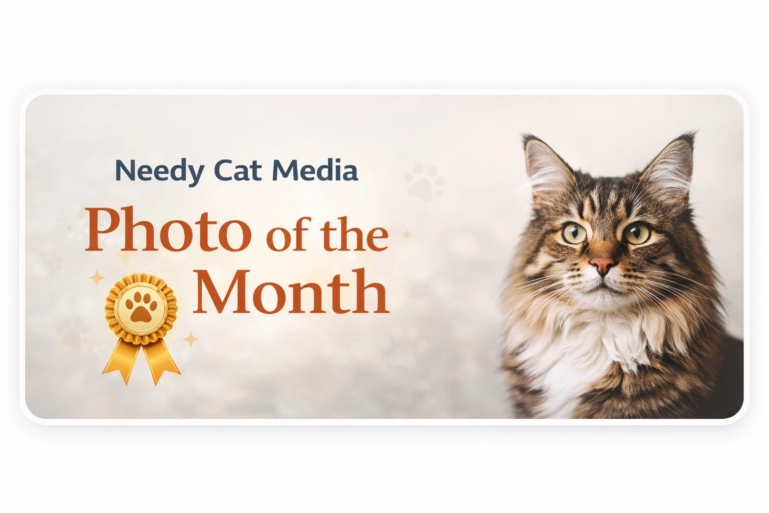 Needy Cat Media Photo of the Month