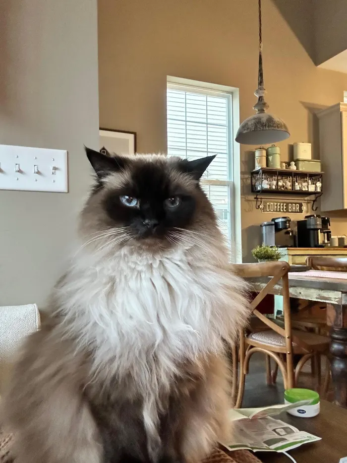 Chloe