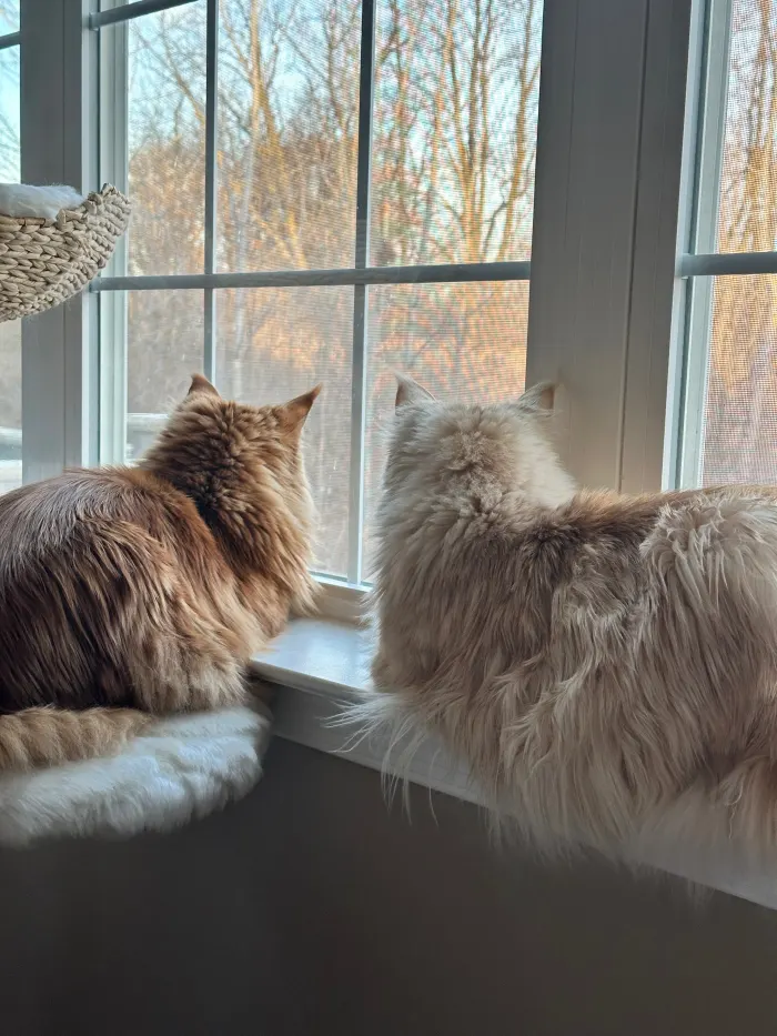 Doris and Marie