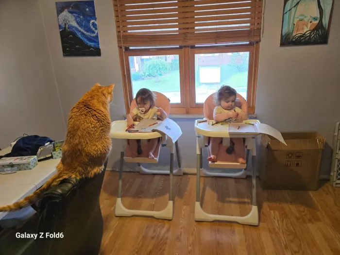 Ravioli - the art teacher